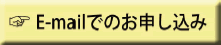 E-mail�ł̂��\������