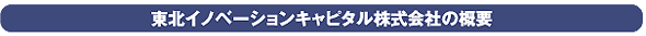 東北イノベーションキャピタル株式会社の概要